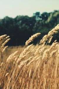 short-sleeve-t-shirt