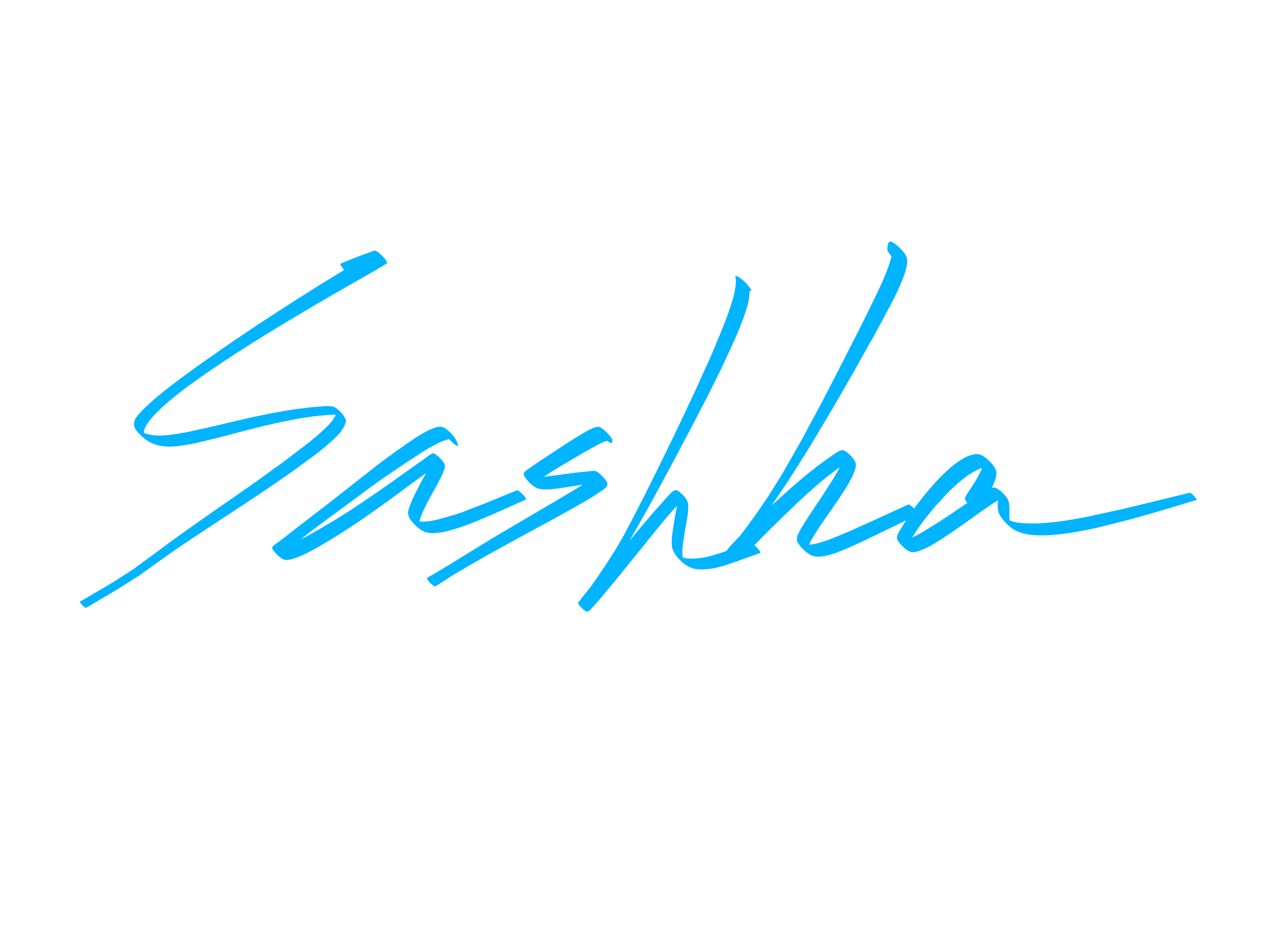 The Sashka Studios Logo